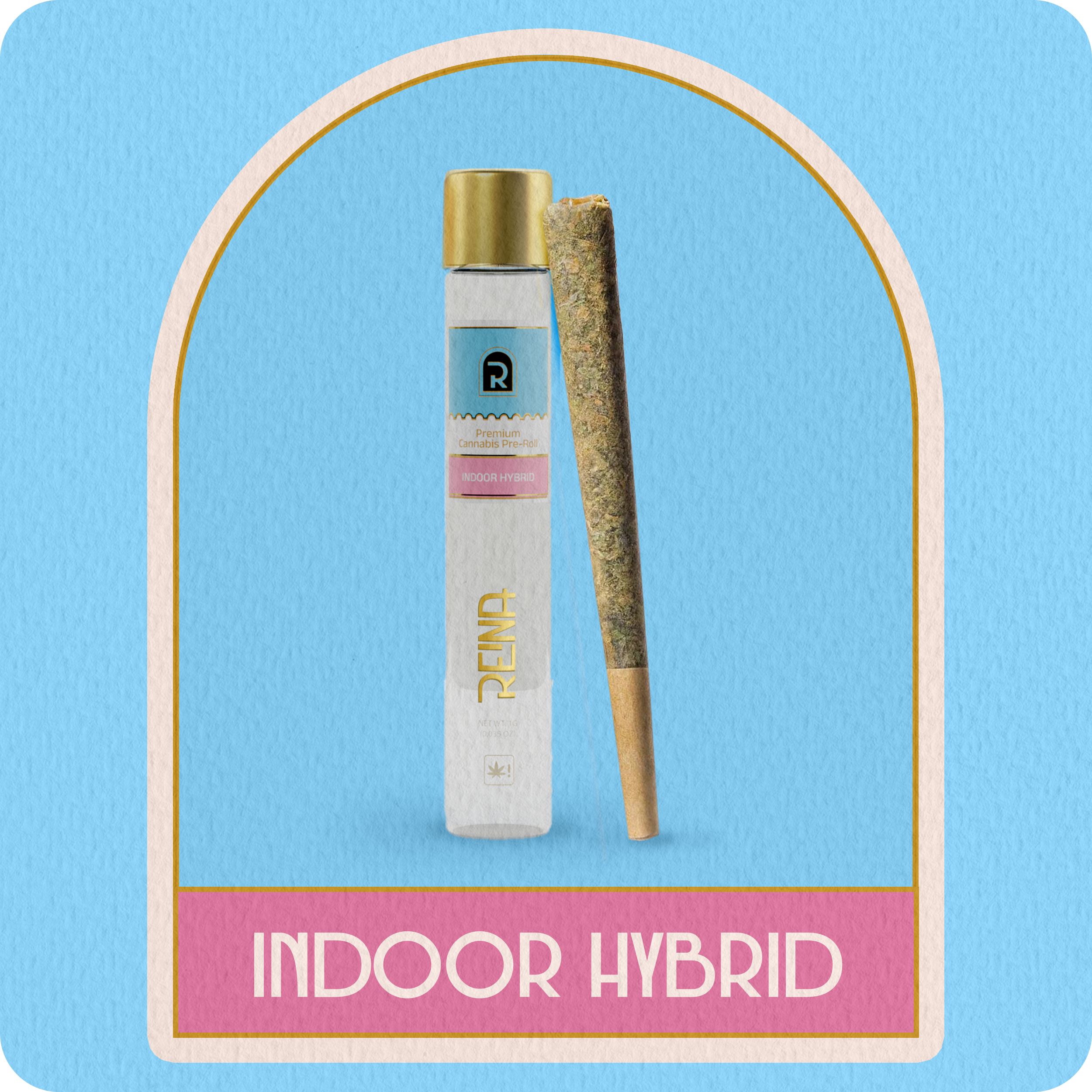 Pre Roll -Indoor Hybrid