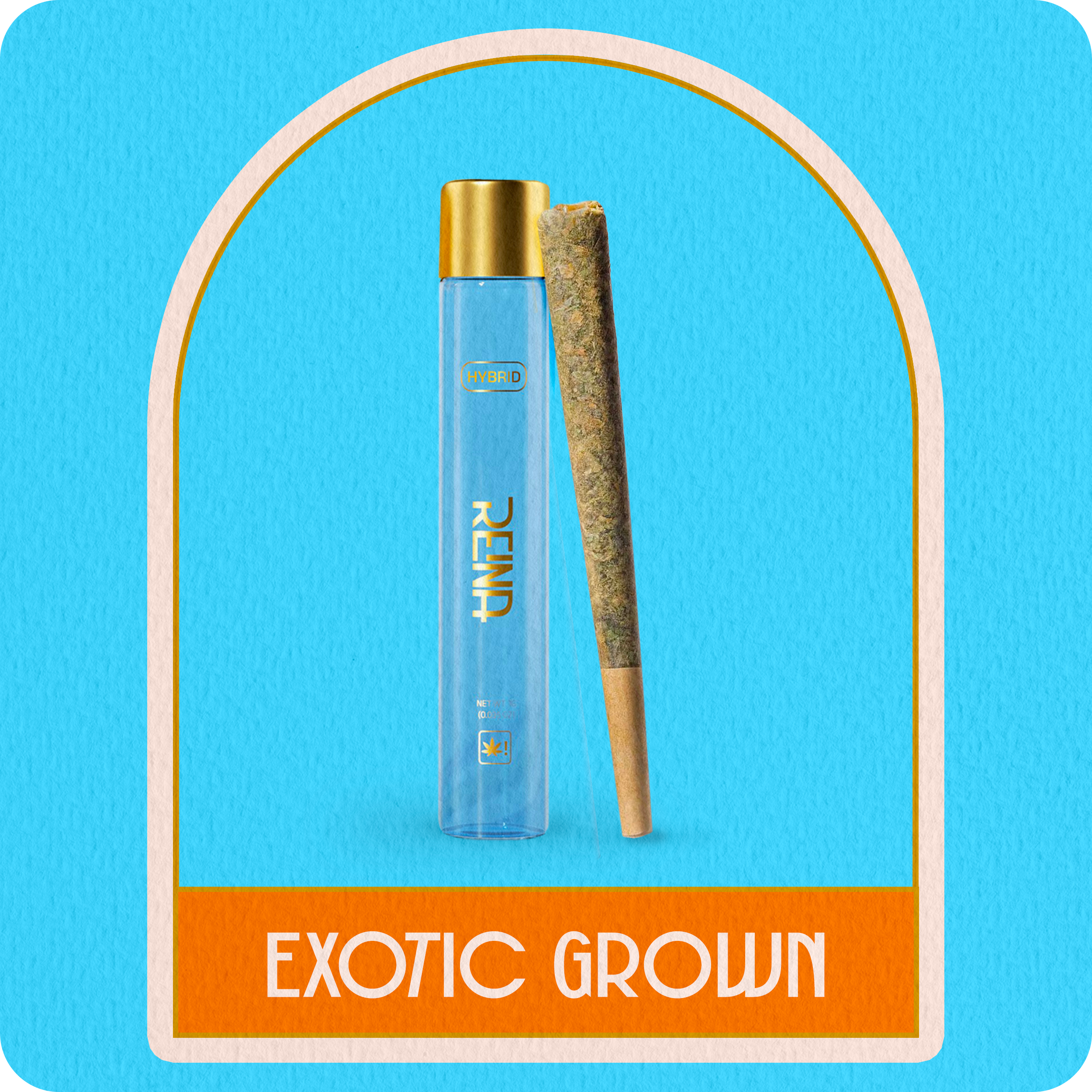 Pre Roll - Hybrid Exotic