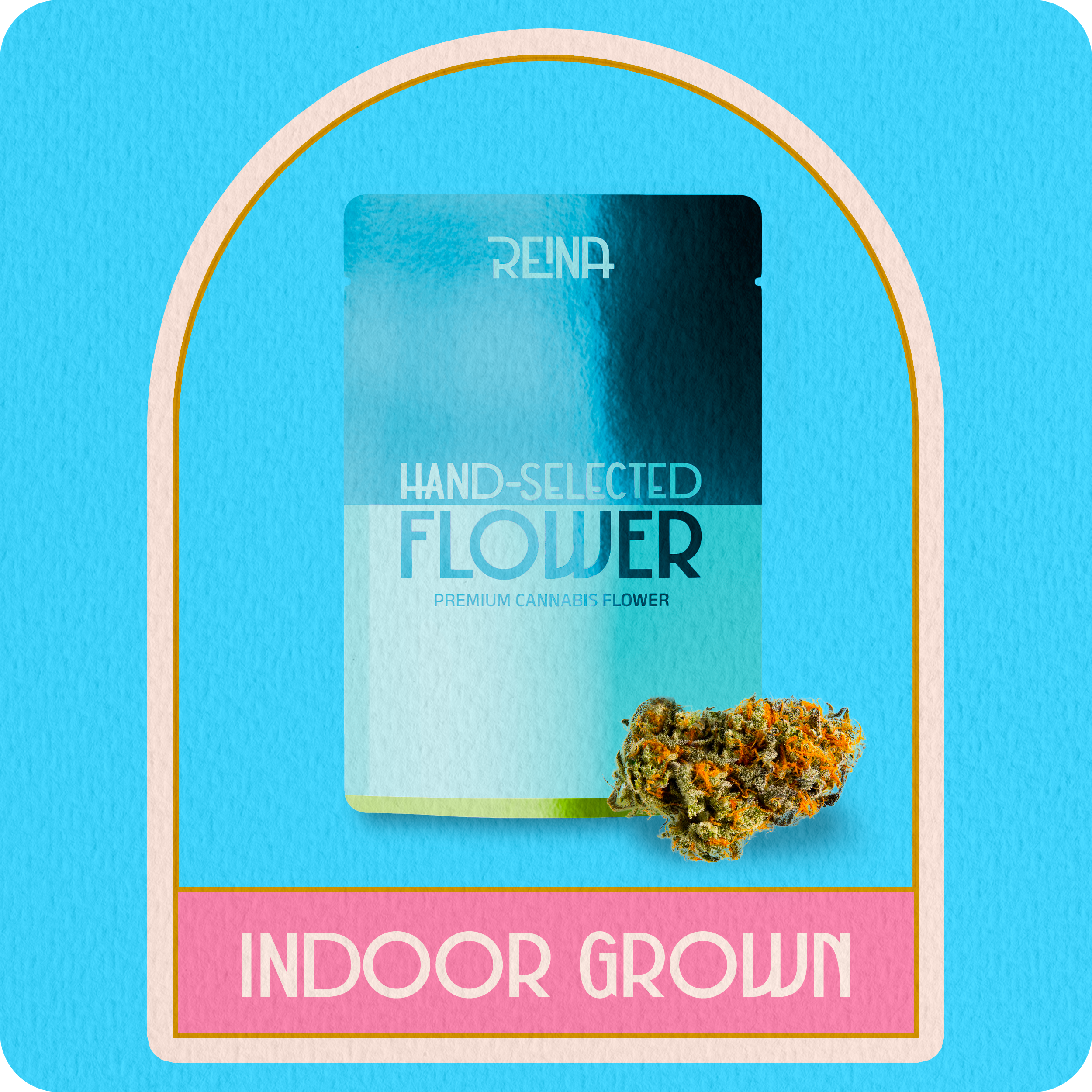 Hybrid Indoor Flower