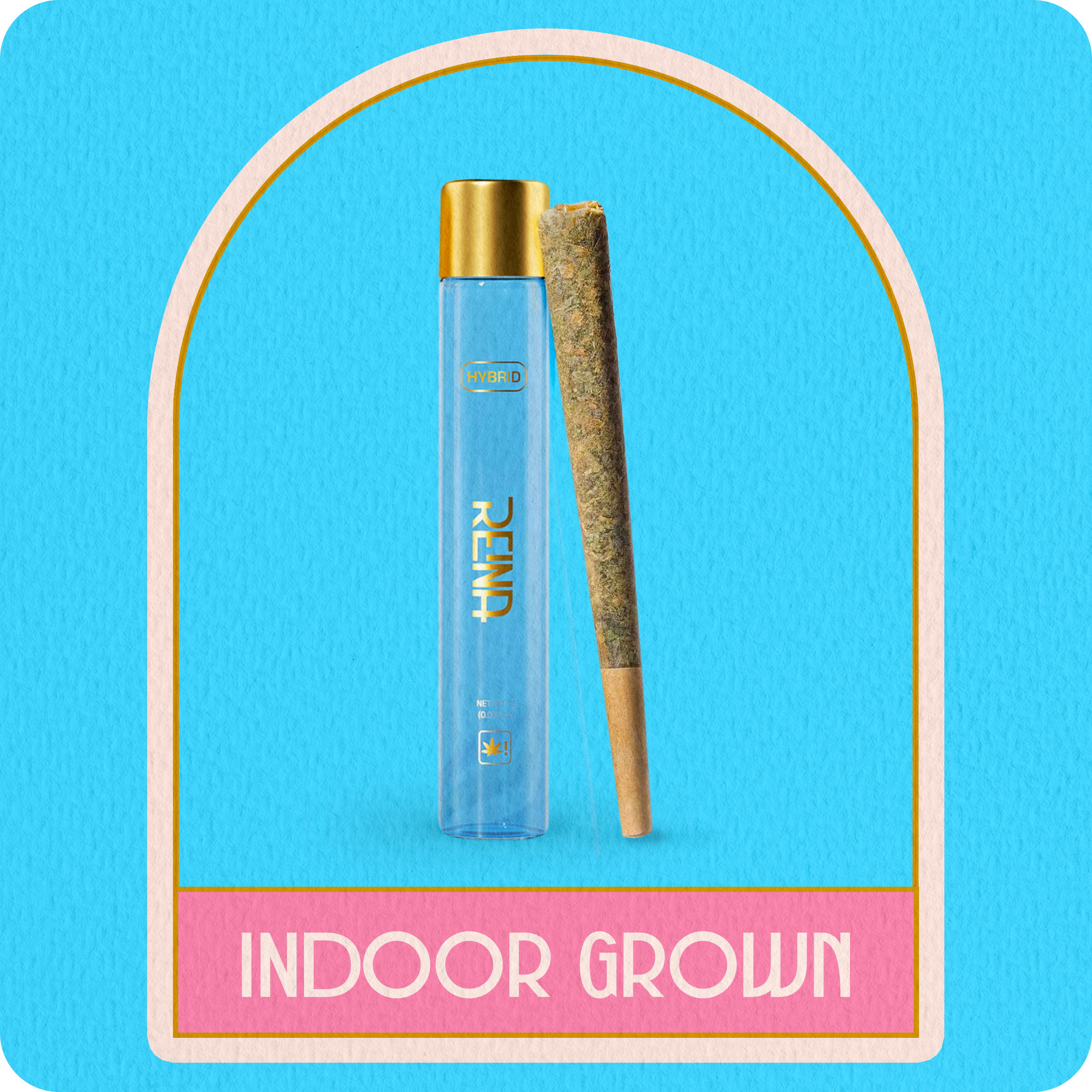 Pre Roll - Hybrid Indoor