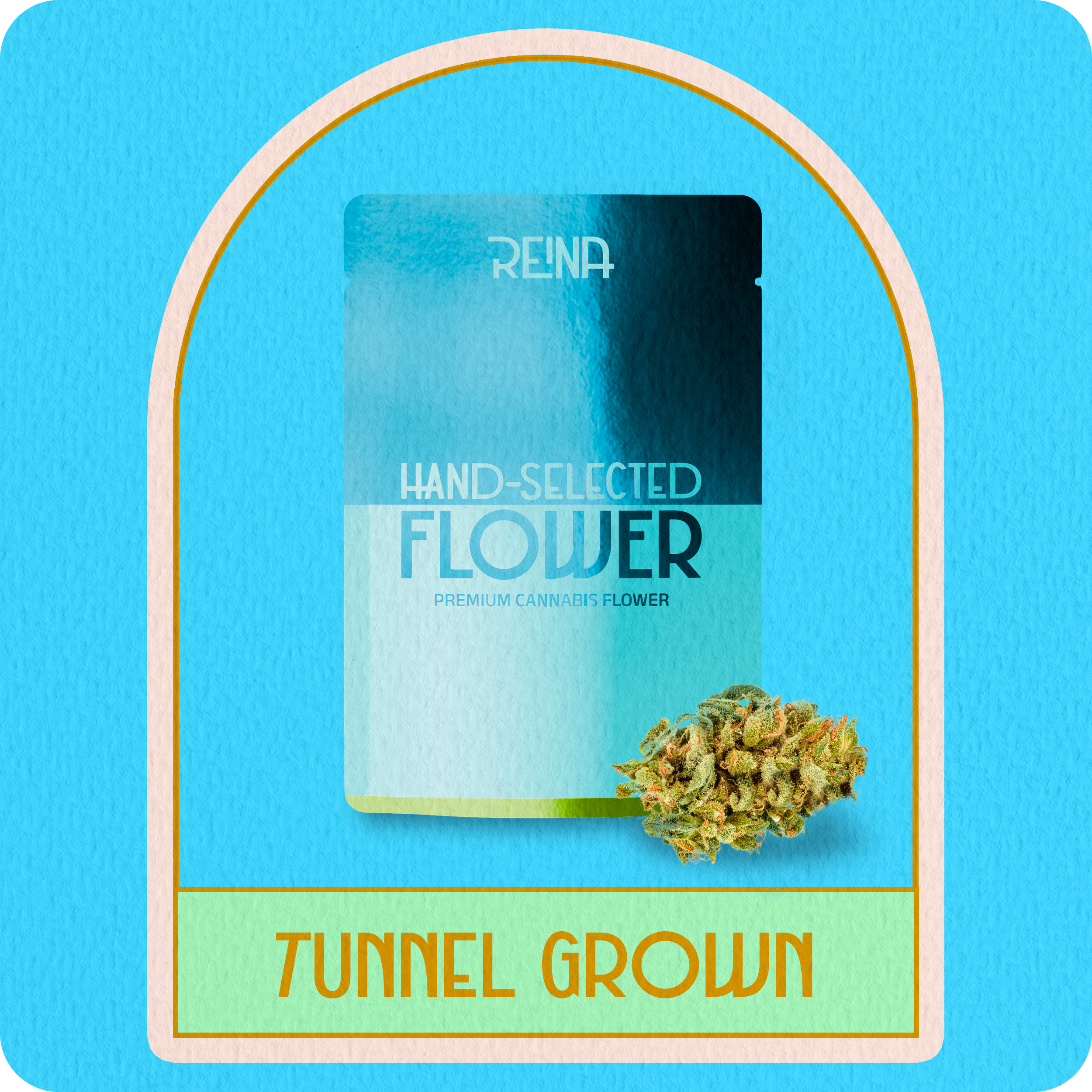 Hybrid Primo Tunnel Flower