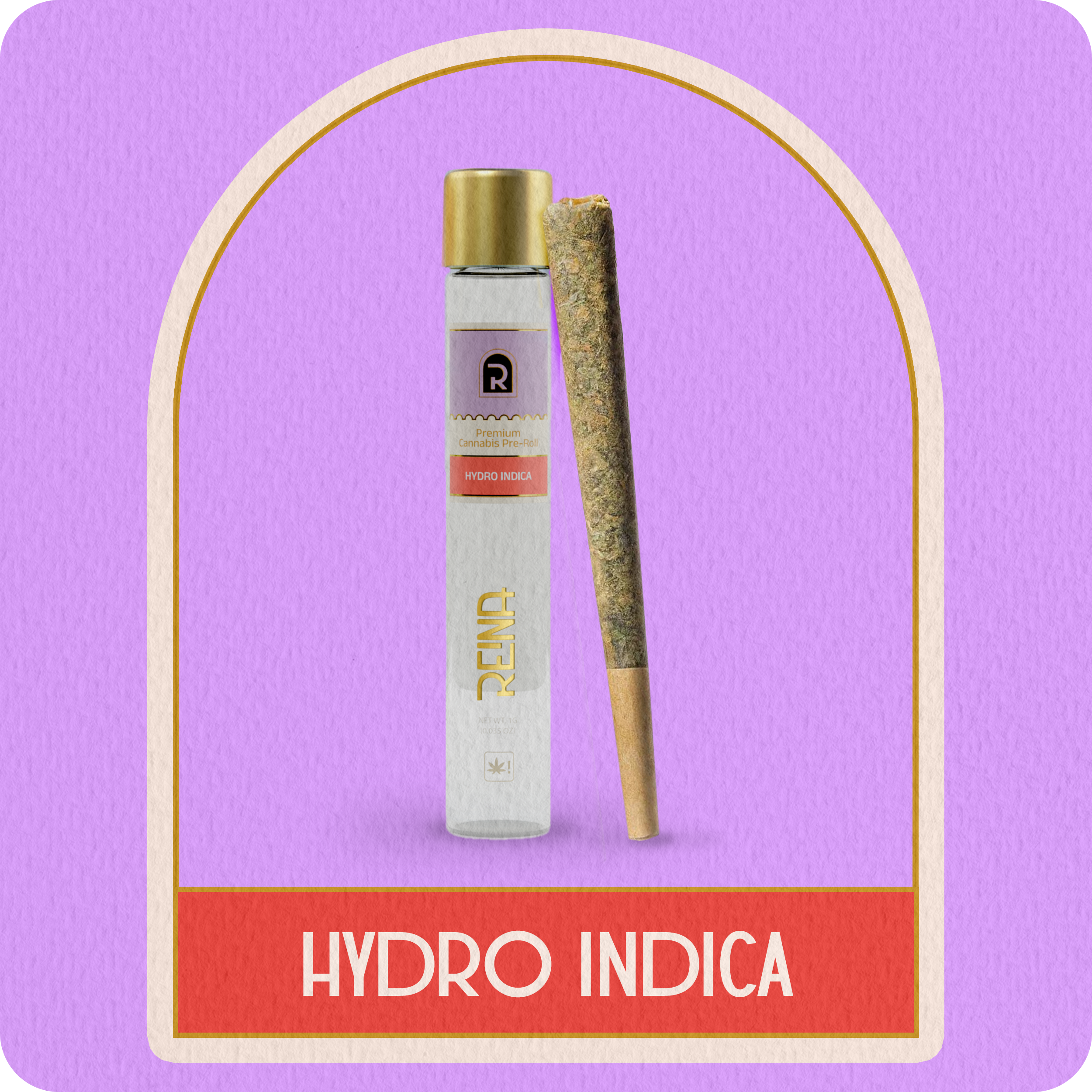 Pre Roll - Hydro Indica