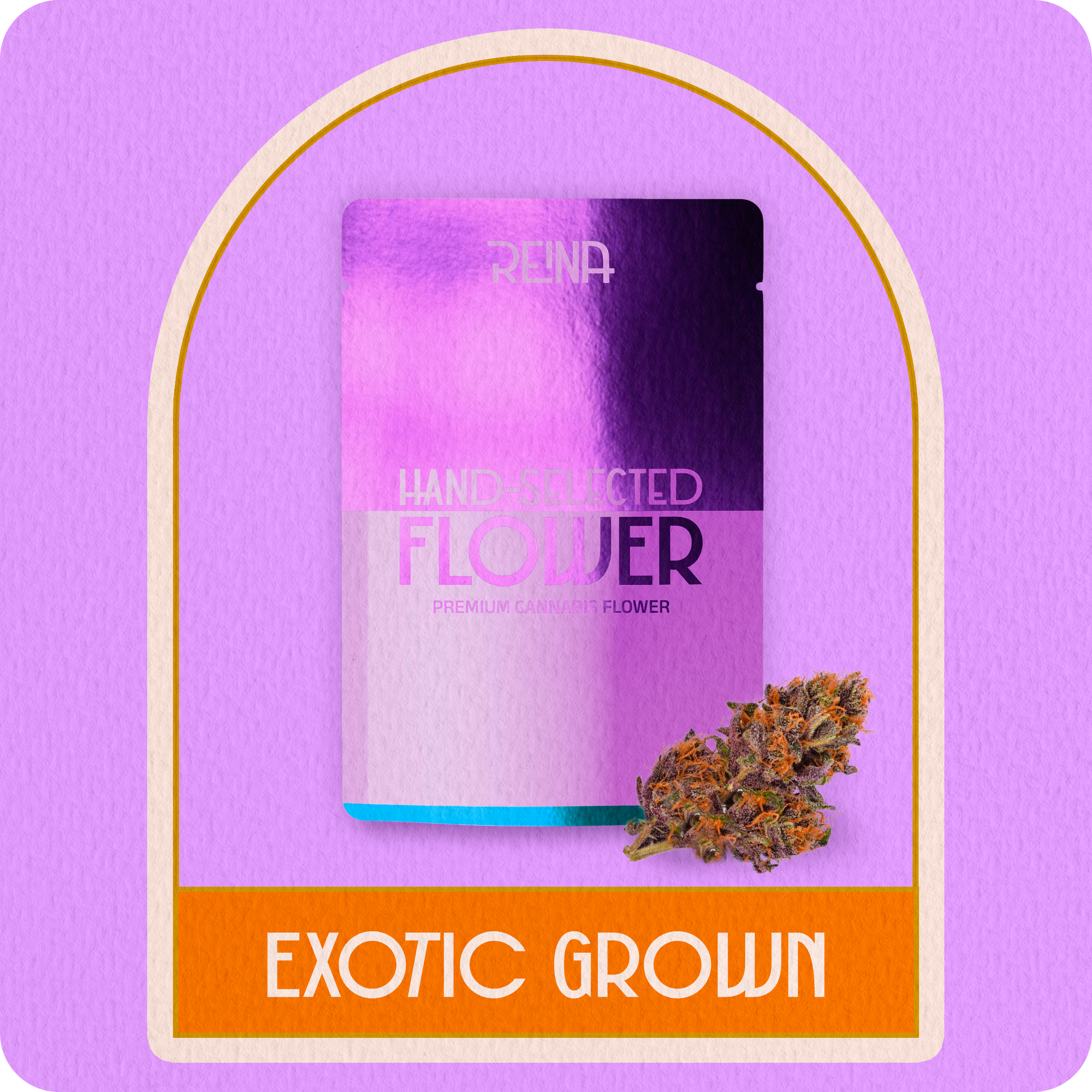 Indica Exotic Flower