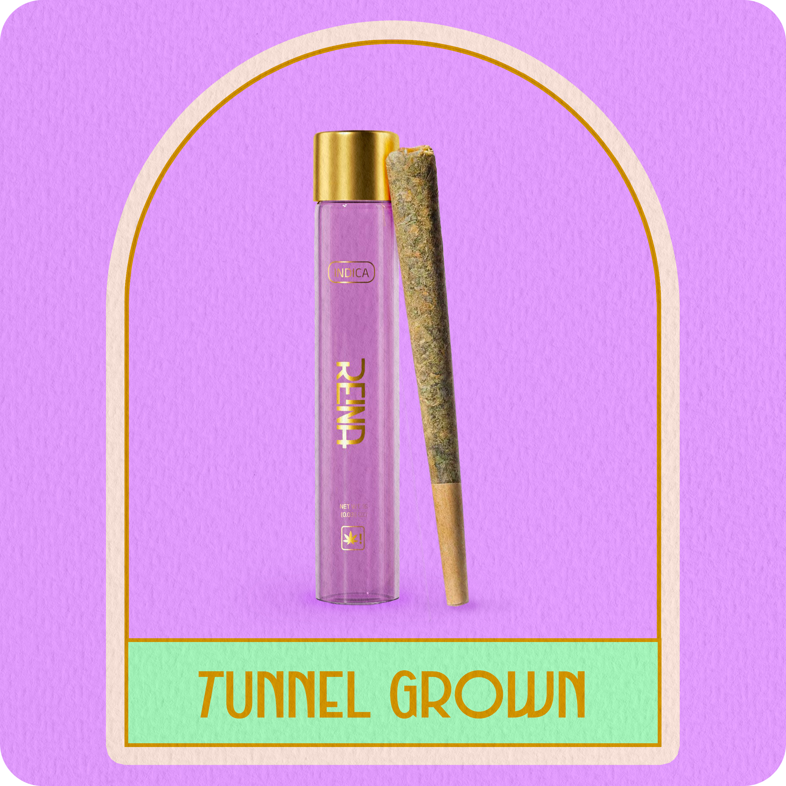 Pre Roll - Indica Primo Tunnel