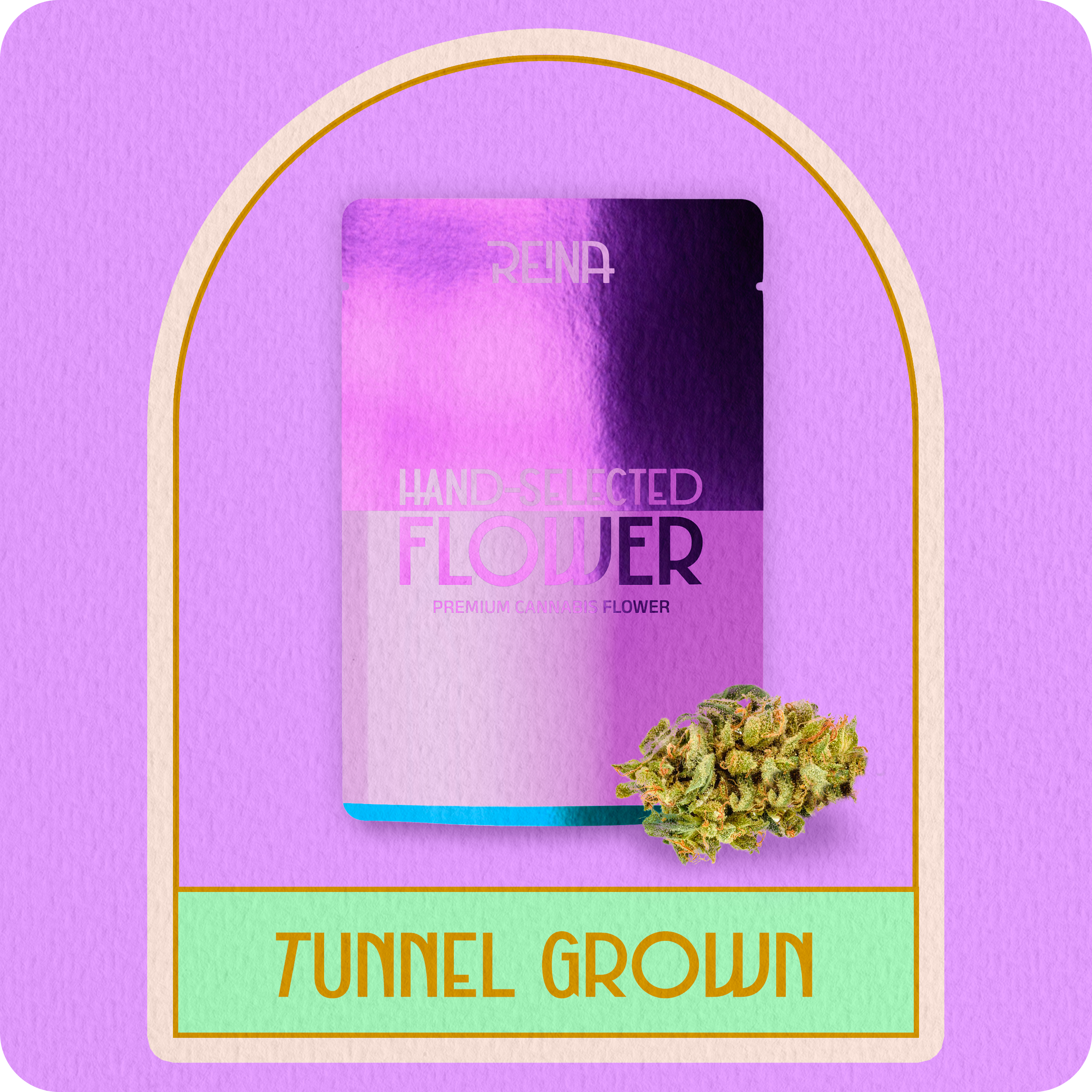 Indica Primo Tunnel Flower