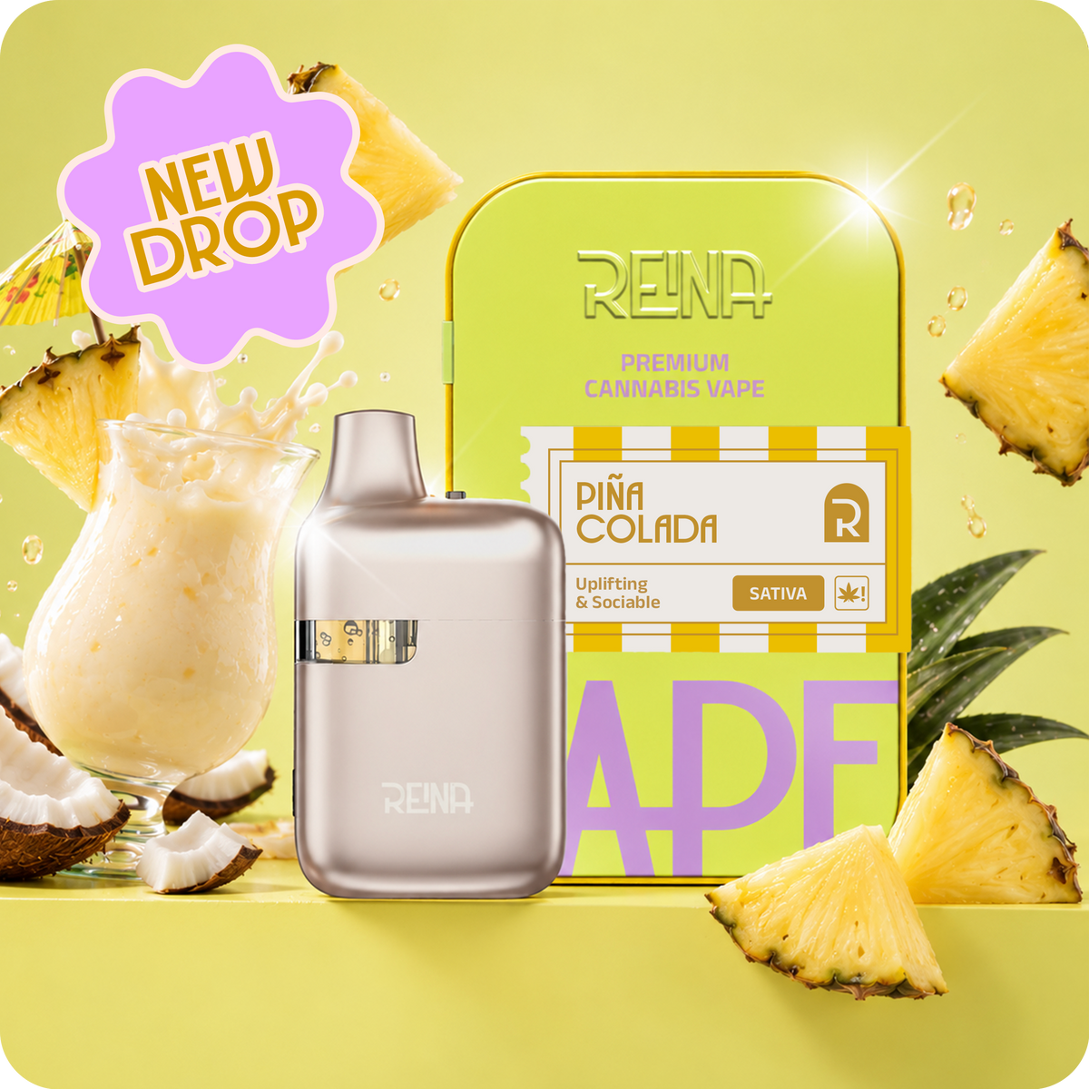 Reina Majesty -  Pina Colada