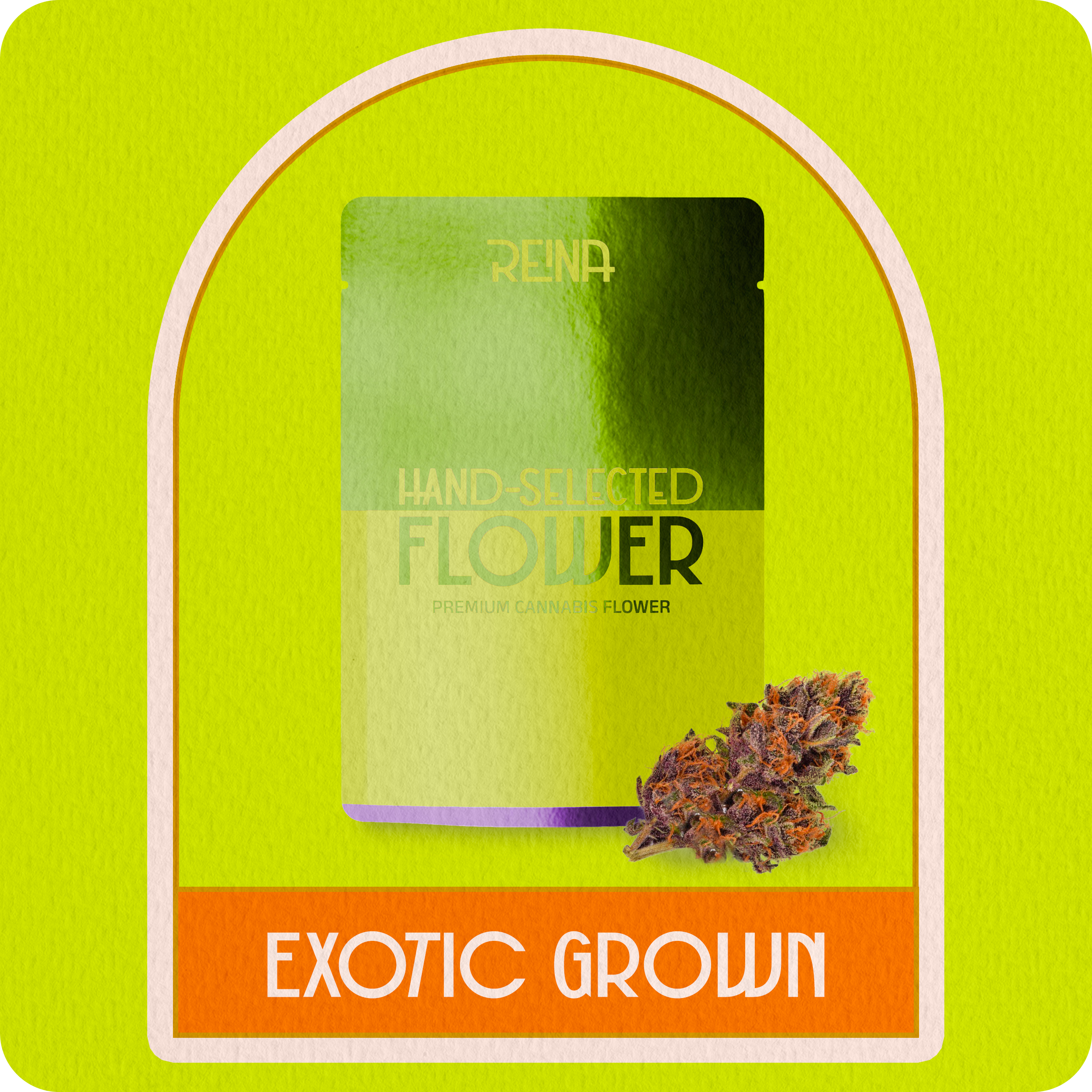 Sativa Exotic Flower