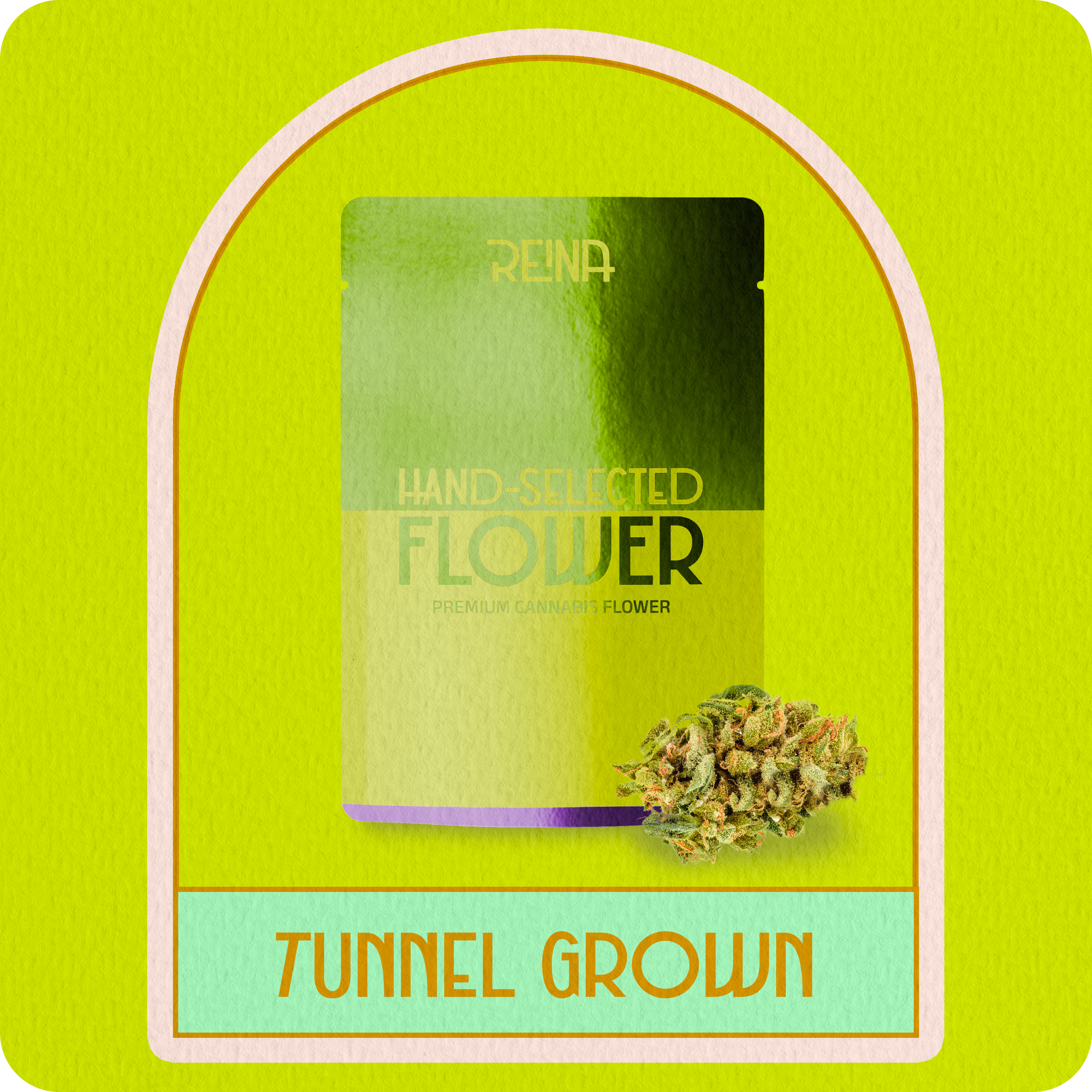 Sativa Primo Tunnel Flower