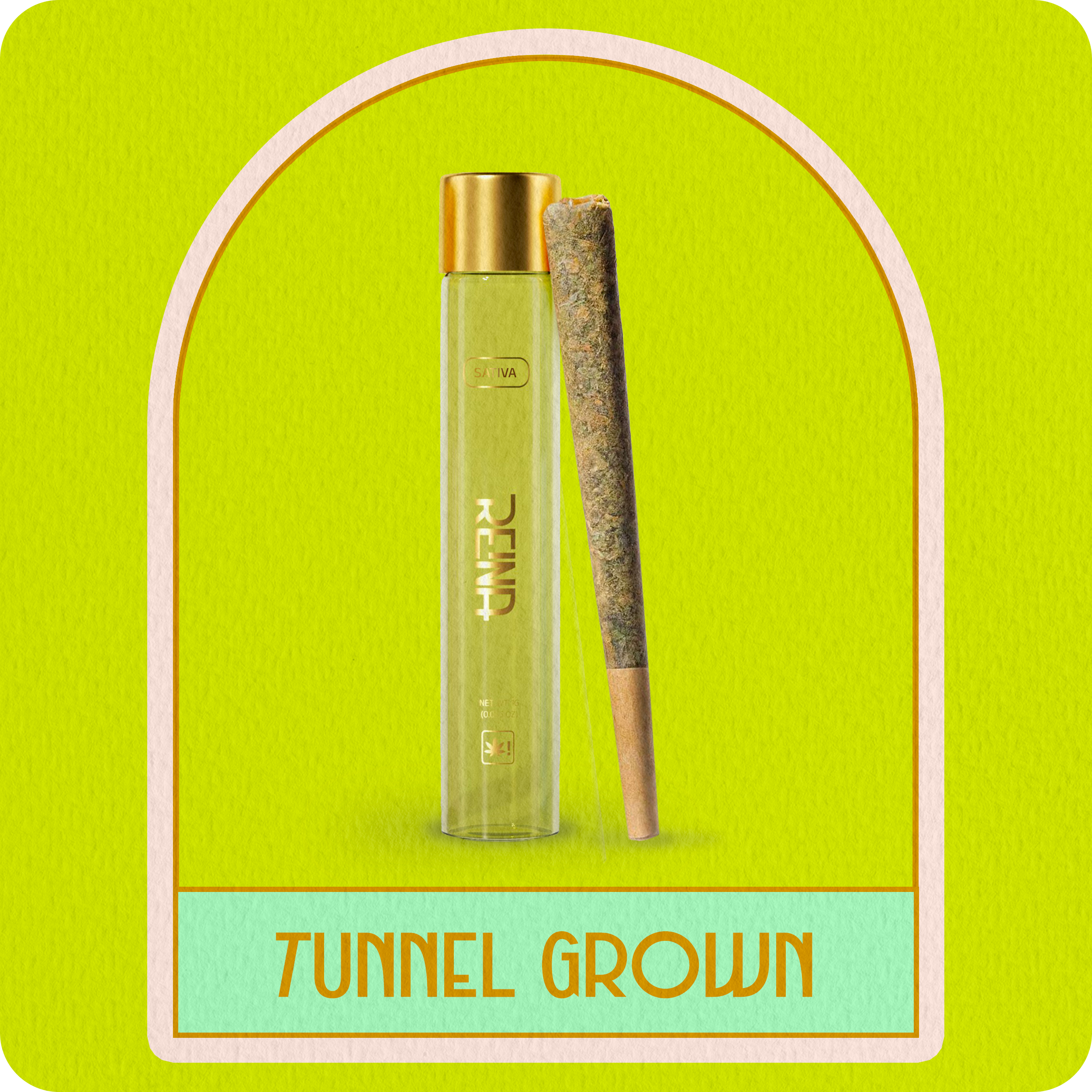 Pre Roll - Sativa Primo Tunnel
